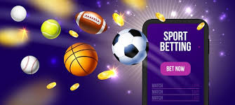 Explore Betting Opportunities on mostbet-official.co.in